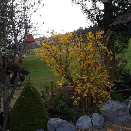 Apartment Haus Biggi - Saentis Weiler-Simmerberg