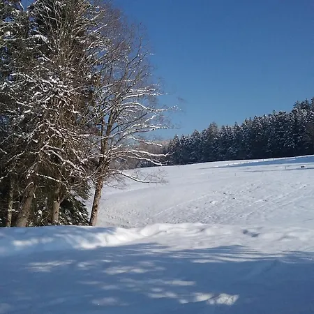 Apartment Haus Biggi - Saentis Weiler-Simmerberg